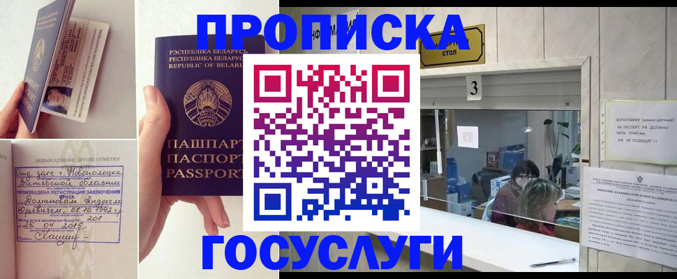 прописка поиск в Новороссийске